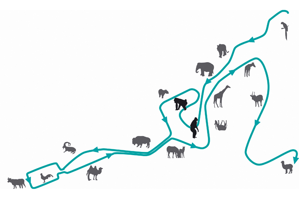 01_BONOBO_01_1024x682