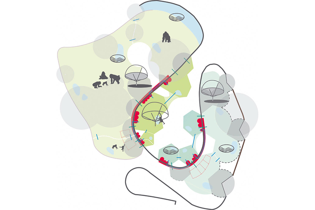 02_BONOBO_02_1024x682