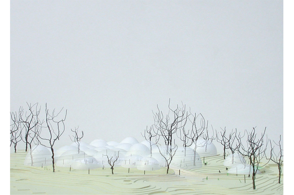 04_BONOBO_04_1024x682