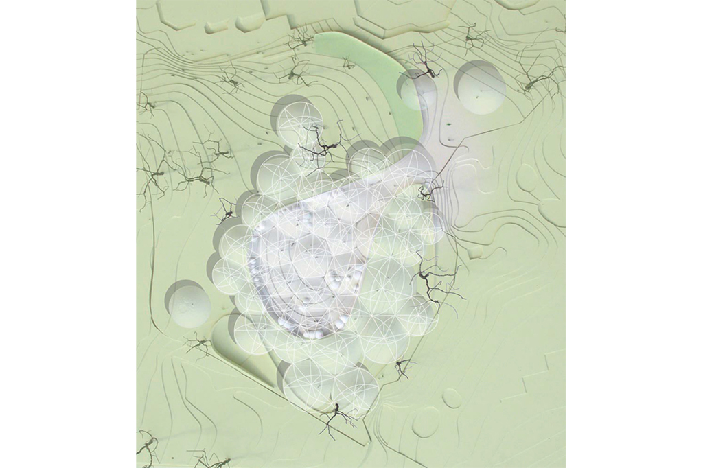 06_BONOBO_06_1024x682