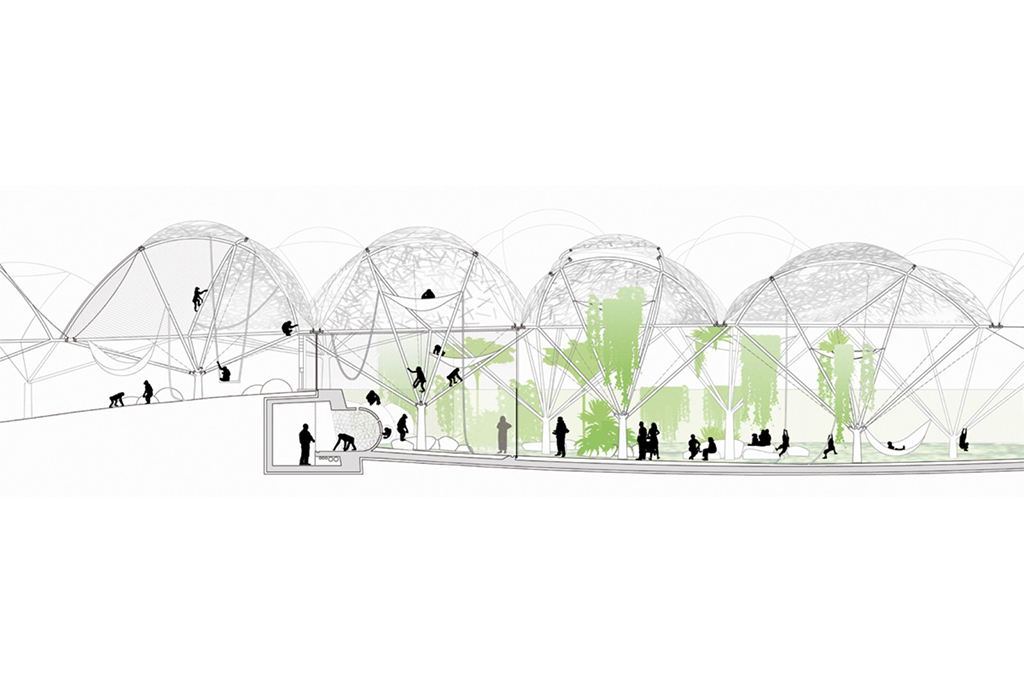 07_BONOBO_07_1024x682