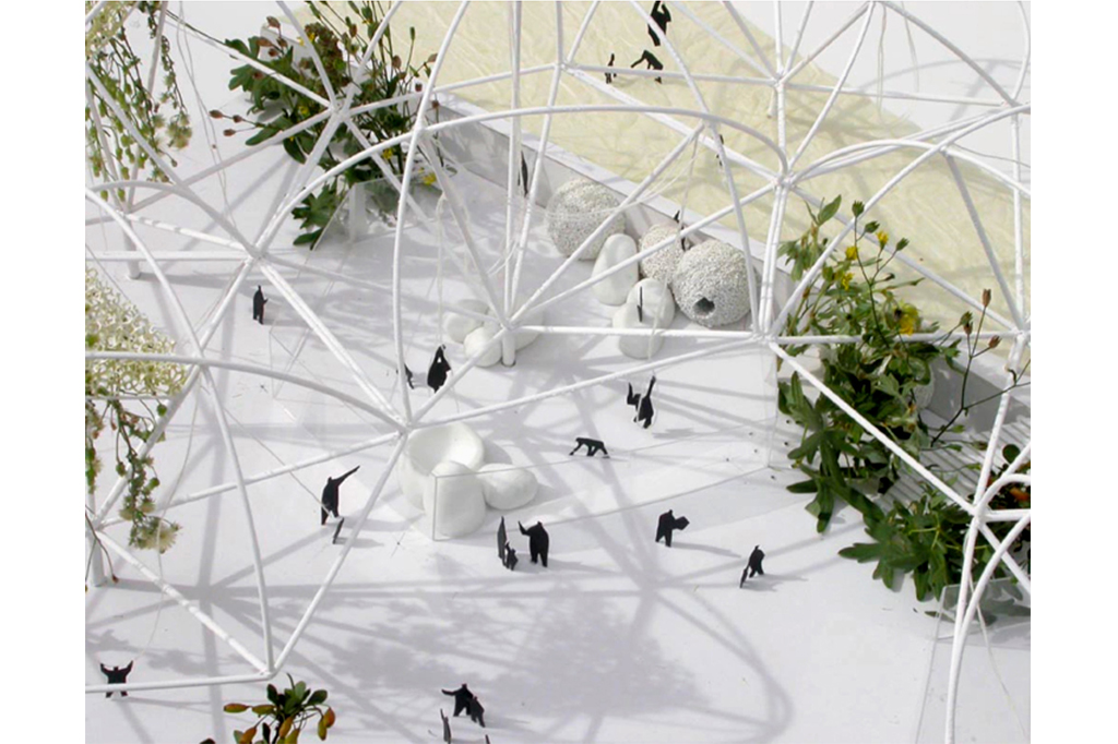 11_BONOBO_11_1024x682