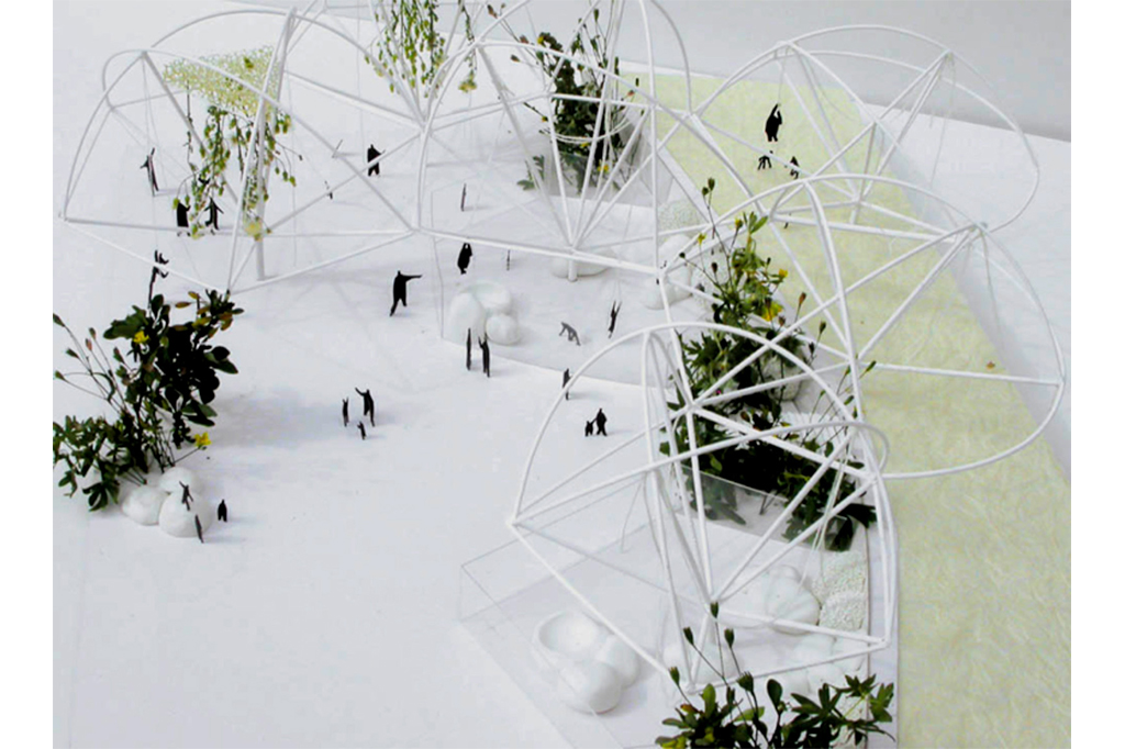 12_BONOBO_12_1024x682