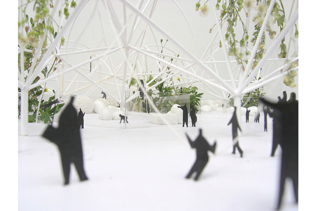 13_BONOBO_13_1024x682