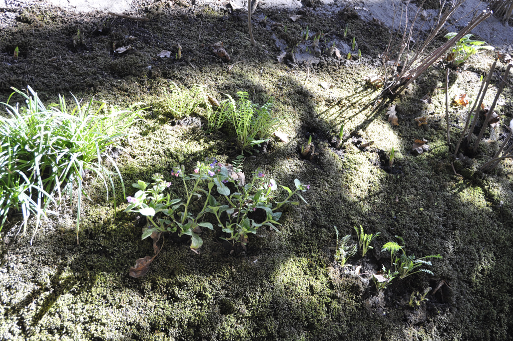 05_Breathe_1503_1511_xs