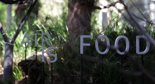 Breathe_1504_0022_xs