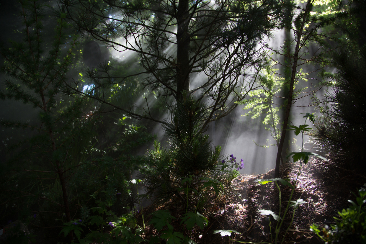 08_010515_EXPO austria ambient-221_xs