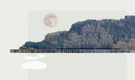 GRUENE ERDE_PRE_01_T